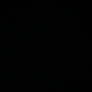 Meet your Posher, Elyza